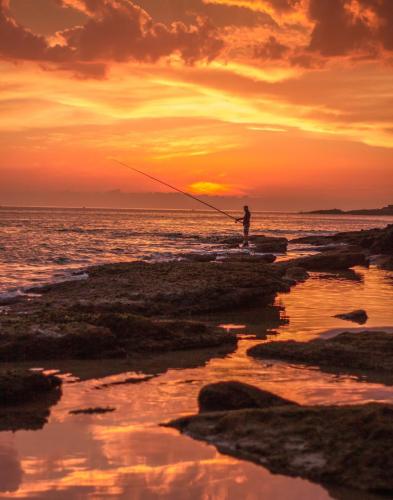 Bazar Travel - Holiday in the best Moroccan places in the world.