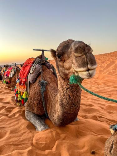 Bazar Travel - Holiday in the best Moroccan places in the world.