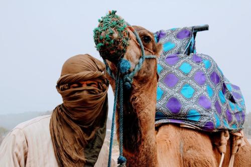 Bazar Travel - Holiday in the best Moroccan places in the world.