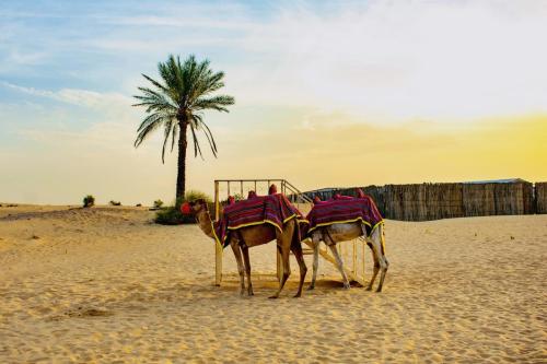Bazar Travel - Holiday in the best Moroccan places in the world.