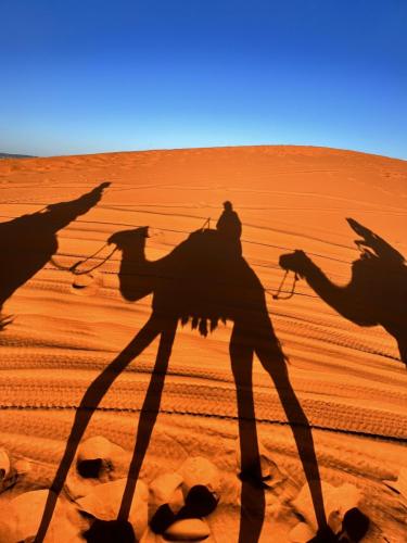 Bazar Travel - Holiday in the best Moroccan places in the world.