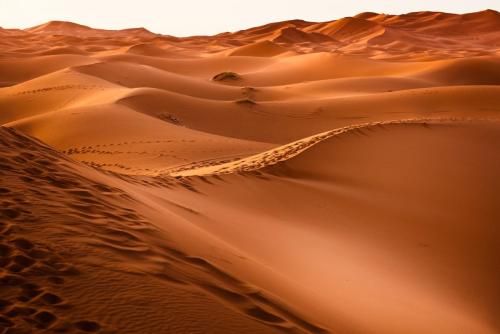 Bazar Travel - Holiday in the best Moroccan places in the world.