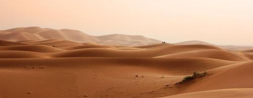 Bazar Travel - Holiday in the best Moroccan places in the world.