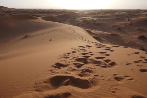 Bazar Travel - Holiday in the best Moroccan places in the world.