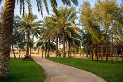 Bazar Travel - Holiday in the best Moroccan places in the world.