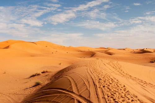 Bazar Travel - Holiday in the best Moroccan places in the world.