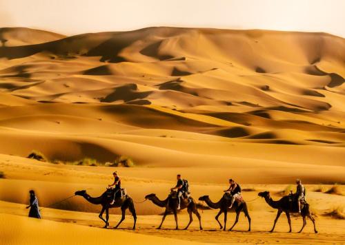 Bazar Travel - Holiday in the best Moroccan places in the world.
