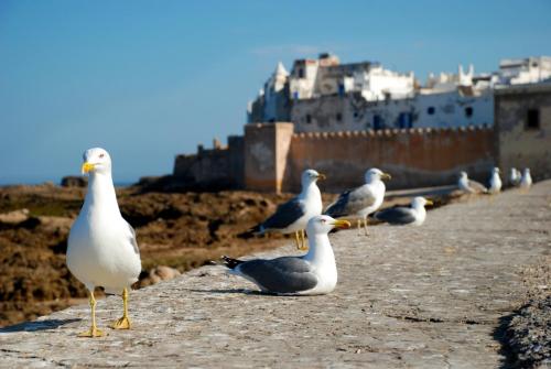 Bazar Travel - Holiday in the best Moroccan places in the world.