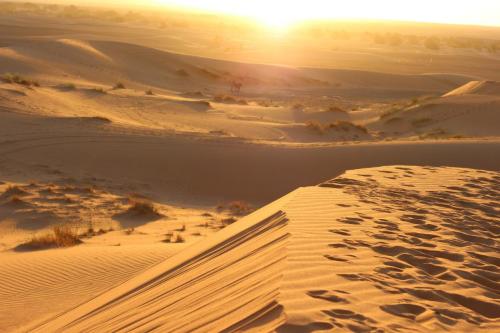 Bazar Travel - Holiday in the best Moroccan places in the world.