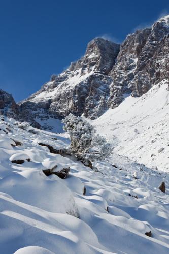 Bazar Travel - Holiday in the best Moroccan places in the world.