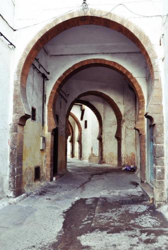 Bazar Travel - Holiday in the best Moroccan places in the world.