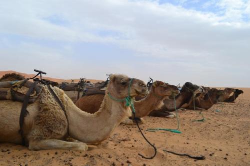 Bazar Travel - Holiday in the best Moroccan places in the world.