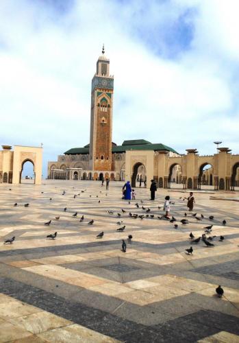 Bazar Travel - Holiday in the best Moroccan places in the world.