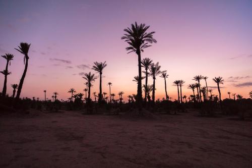 Bazar Travel - Holiday in the best Moroccan places in the world.