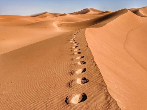 Bazar Travel - Holiday in the best Moroccan places in the world.