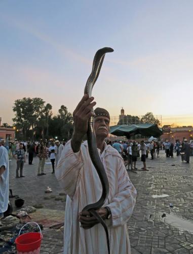 Bazar Travel - Holiday in the best Moroccan places in the world.
