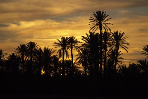 Bazar Travel - Holiday in the best Moroccan places in the world.